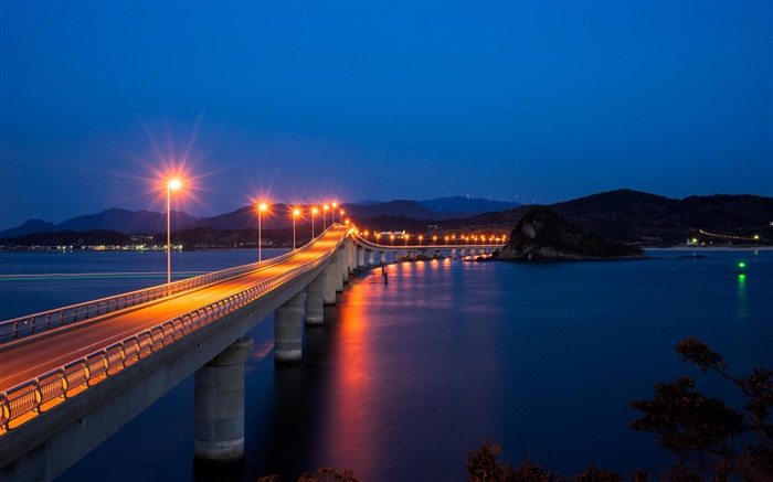 City Night long bridge-Travel HD Desktop Wallpaper Views:8508 Date:2016/3/8 8:31:24