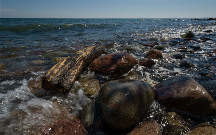 Driftwood Ocean-Germany Rugen HD Wallpaper Visualizações:7253