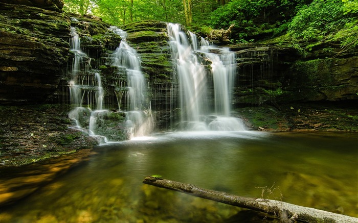 Floresta verde cachoeira-Wonderful Nature HD Wallpaper Visualizações:13057