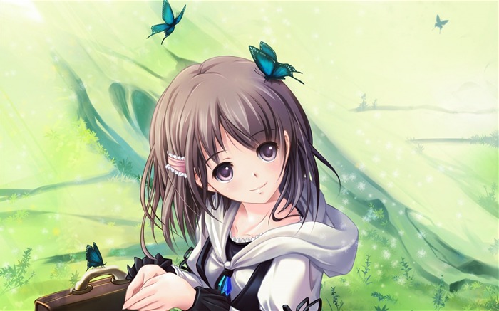 Girl grass bag butterfly-Anime Design fondo de pantalla HD Vistas:9908