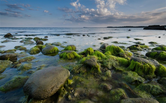 Pierres Green Beach-Allemagne Rugen HD Fonds d'écran Vues:7776