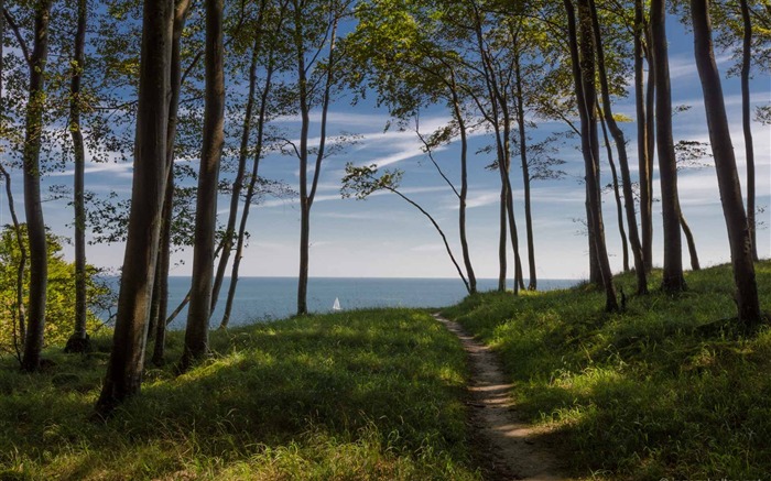 Jasmund National Park à-Allemagne Rugen HD Fonds d'écran Vues:9164