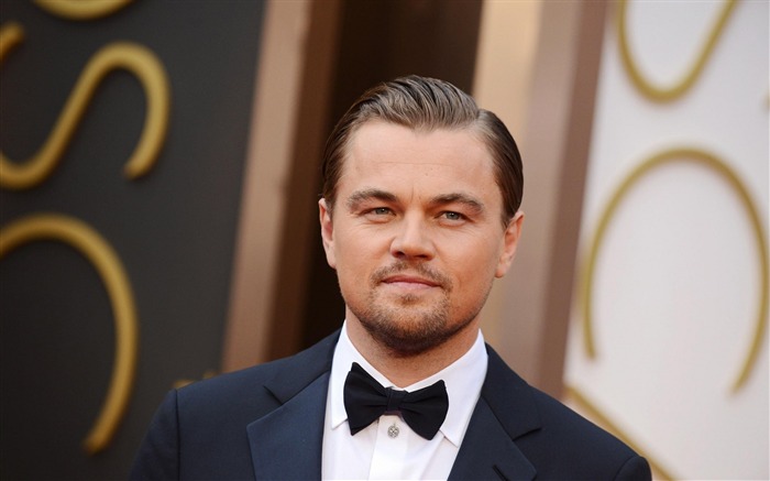 Leonardo Dicaprio 88th Academy Awards Theme Wallpaper 02 Vistas:8110