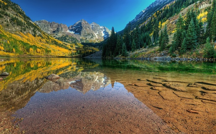 Las campanas marrones reflejaron la fotografía de la naturaleza del lago HD fondo de pantalla Vistas:8038