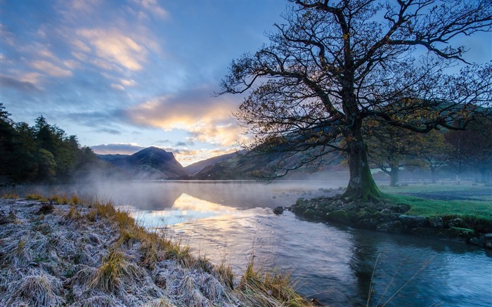 Árboles cubiertos de musgo brumoso lago-Naturaleza fotografía fondo de pantalla HD Vistas:9054