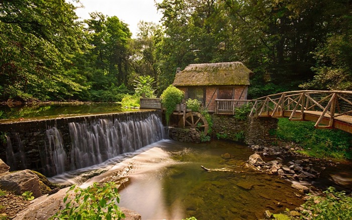 Viejo watermill forest river-Nature photography HD fondo de pantalla Vistas:10400