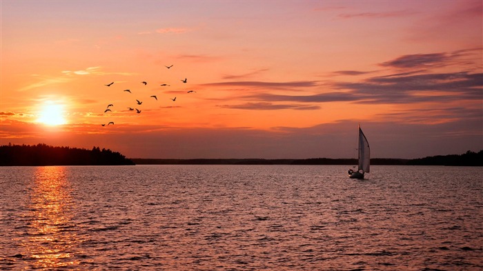 Sailing sunrise ocean-Wonderful Nature Wallpaper HD Visualizações:10747