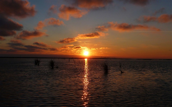 Rastro del sol en la superficie-fotografía de la naturaleza fondo de pantalla HD Vistas:6268