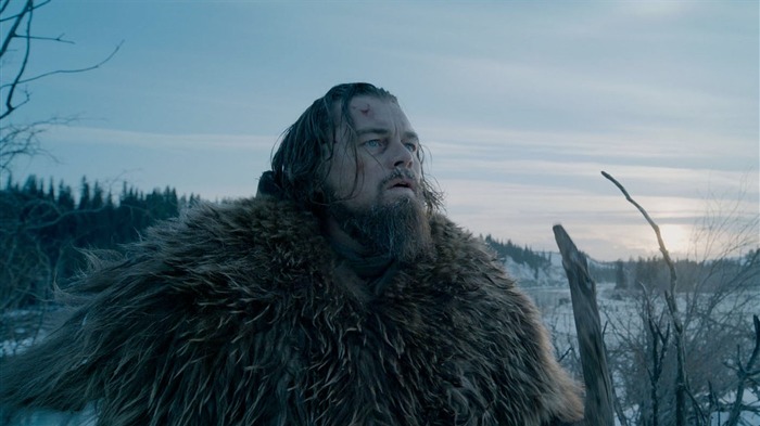 The Revenant 2016 Fondo de Pantalla de Leonardo DiCaprio HD 05 Vistas:7785