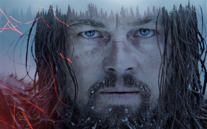 O Revenant 2016 Leonardo DiCaprio HD Wallpaper 19 Visualizações:7077