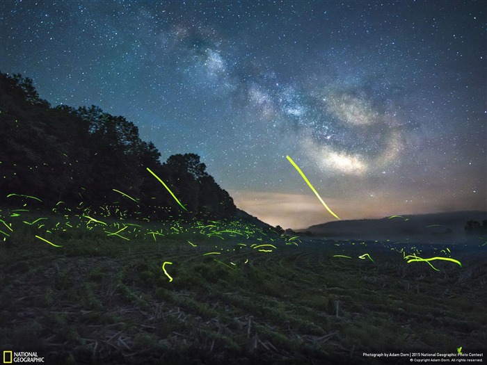 The Secrets of Cady Creek-National Geographic Photo Wallpaper Views:7371 Date:2016/3/19 1:55:32