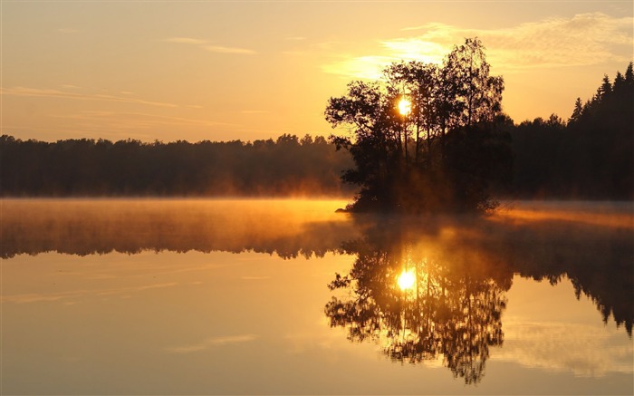 Árvores neblina lago ao pôr do sol-Natureza fotografia HD papel de parede Visualizações:7261