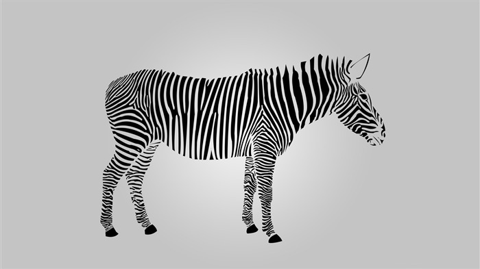 Abstract Zebra 2016-Vector Art Design HD Wallpaper Views:6982 Date:2016/4/27 10:09:57