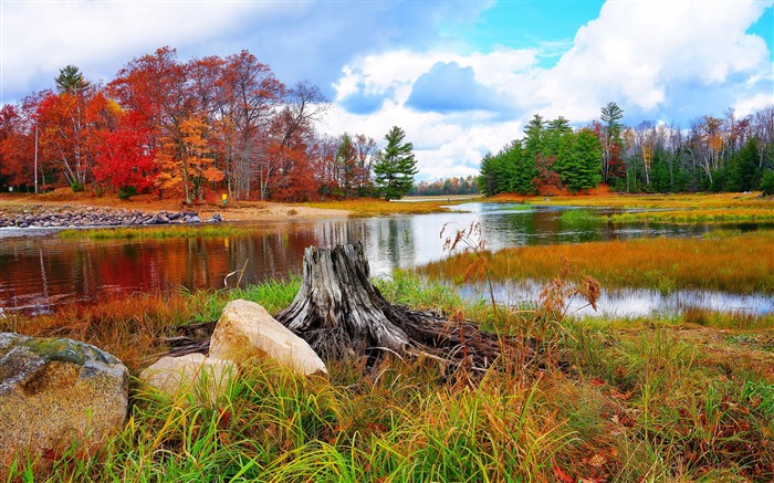 Automne arbres paysage herbe de rivière-Nature haute qualité Fond d'écran Vues:10639