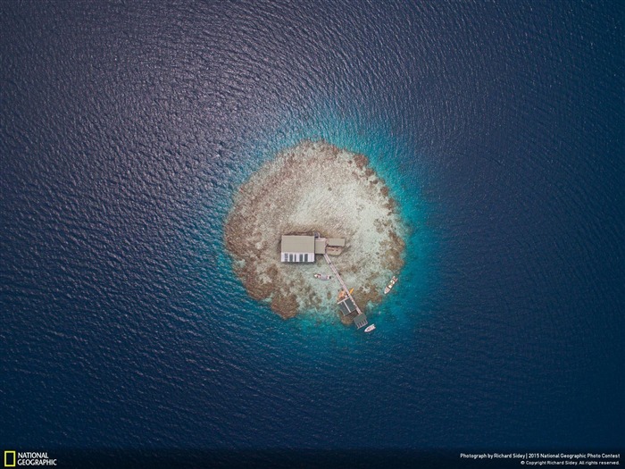 Black Pearl Farm Manihiki-National Geographic Photo Fond d'écran Vues:9599