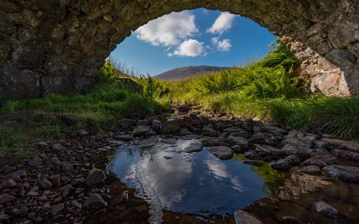 Creek under bridge-Scotland Fotografía Fondo de escritorio Vistas:7754