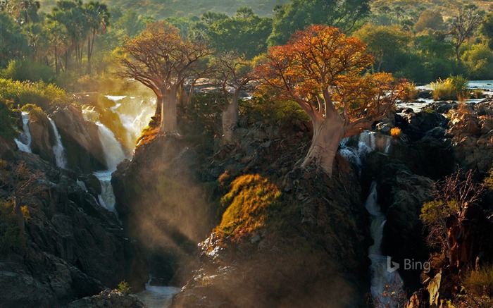 Epupa Falls between Angola Namibia-2016 Bing Desktop Wallpaper Views:9973 Date:2016/4/4 8:01:04