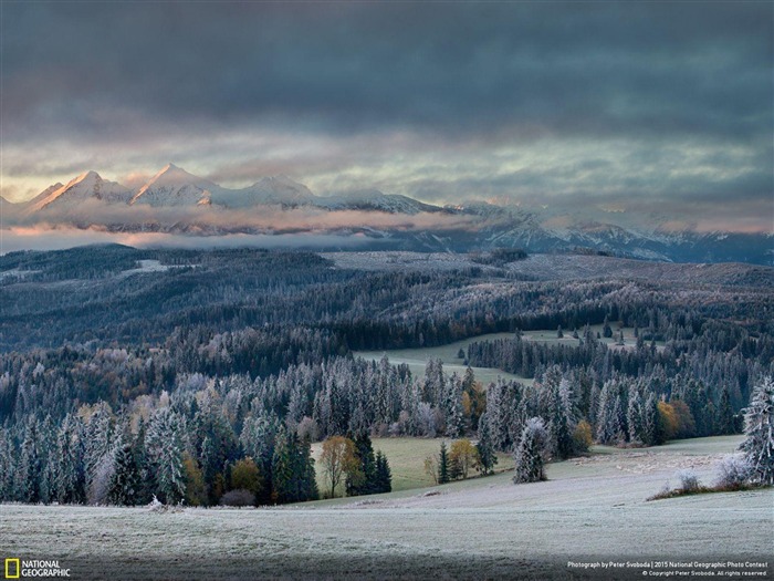 First touch of winter-National Geographic Photo Wallpaper Views:10169 Date:2016/4/10 3:02:19