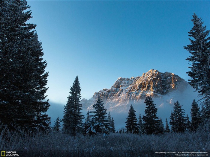 matin brumeux au lac Bow-National Geographic Photo Fond d'écran Vues:8341