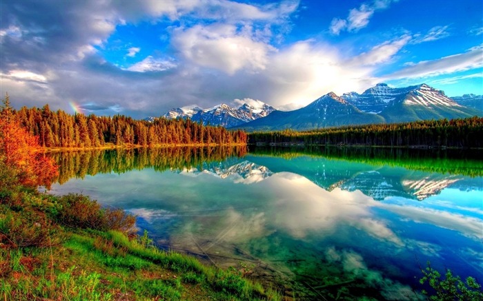 Forest Mountains Clouds-HDR Photo Fondo de escritorio HD Vistas:12752