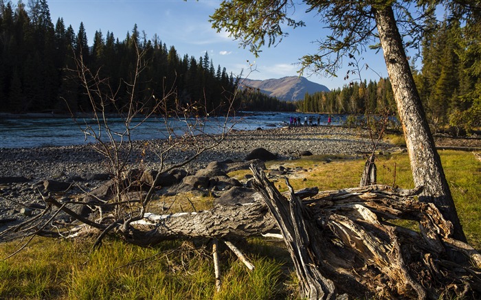 Kanas Lake Xinjiang China Travel Photo HD Wallpaper 04 Visualizações:7715