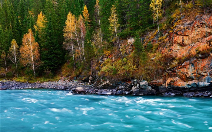 Kanas Lake Xinjiang China Travel Photo Fondo de pantalla HD 17 Vistas:8991