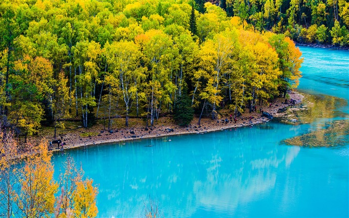 Kanas Lake Xinjiang China Travel Photo fondo de pantalla HD Vistas:13121