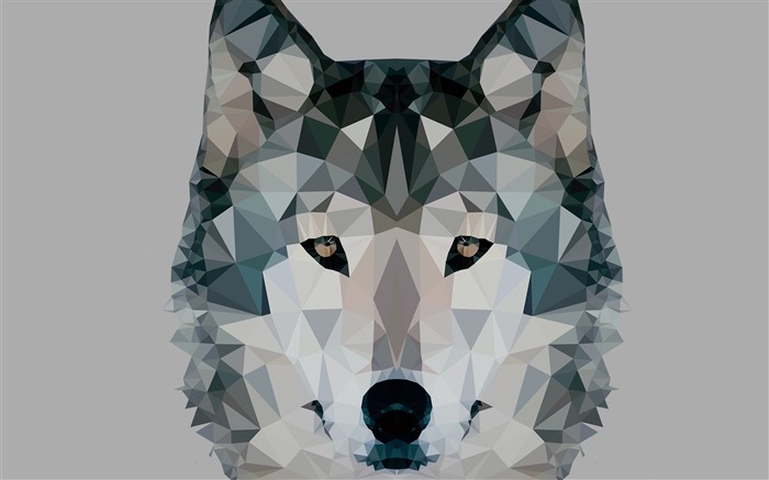 Low polygonal wolf-Vector Art Design HD Wallpaper Views:15124 Date:2016/4/27 10:00:17