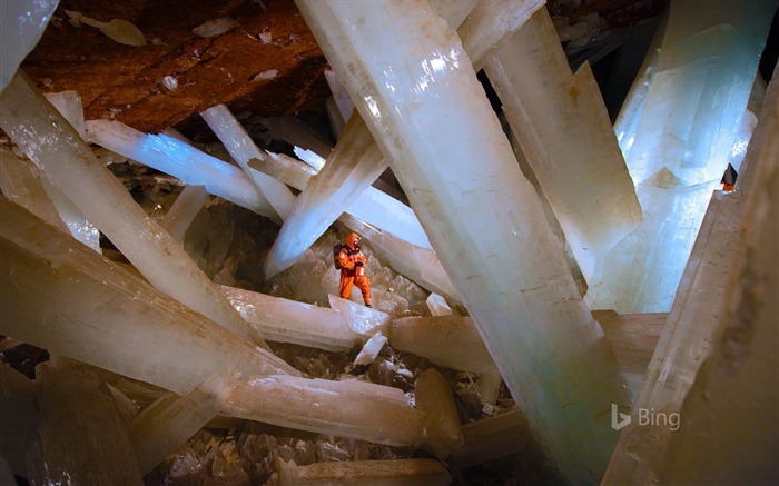 Cristais de selenite massivos no papel de parede da Boca de Cave México-2016 Visualizações:8159