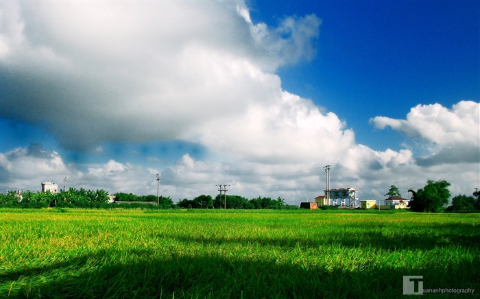 Naturaleza Paisaje Nubes Verde Campo-LOMO foto HD fondo de pantalla Vistas:9002