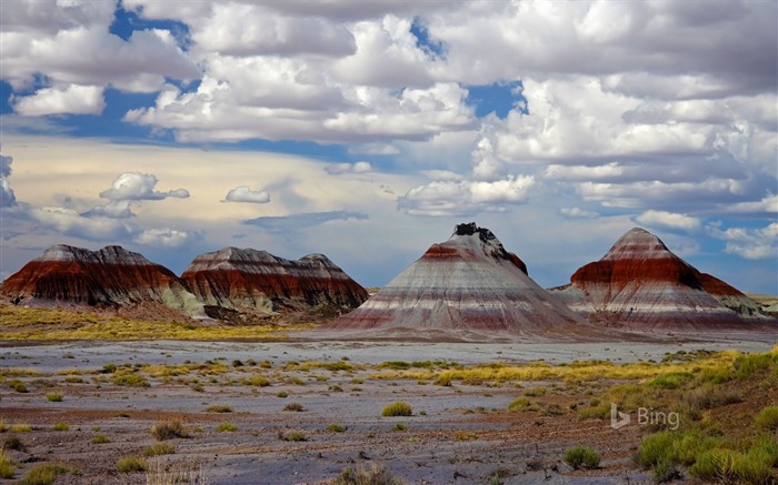 Parque Nacional da Floresta Petrificada Arizona-2016 Bing Desktop Wallpaper Visualizações:8974