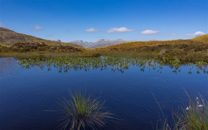 Fondo de Pantalla de Pequeño Loch-Escocia Fotografía Vistas:6031