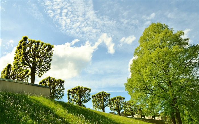 Paysage de printemps nature-Haute Qualité fond d'écran Vues:11674