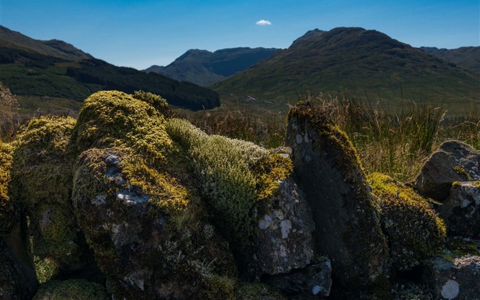 Stones Mountains-Scotland Fotografía Fondo de escritorio Vistas:6529