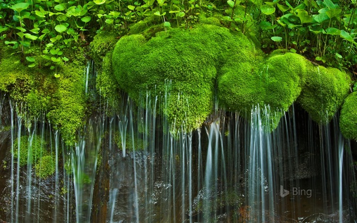 Parque nacional de Shenandoah da cachoeira Virgínia-2016 Papéis de parede do Desktop de Bing Visualizações:11355