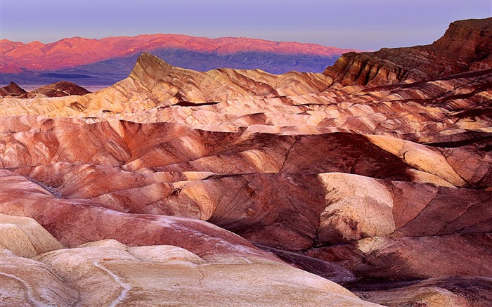 Zabriskie point death valley california-naturaleza paisaje fondo de pantalla HD Vistas:8285