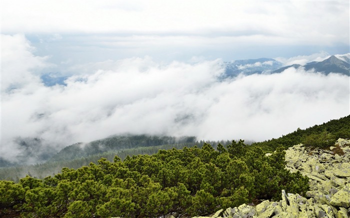 雲の山の茂み岩-自然の風景のHDの壁紙 ブラウズ:8830