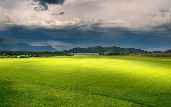 Nuvens de nuvens de relva luz-Natureza cenário HD papel de parede Visualizações:11763