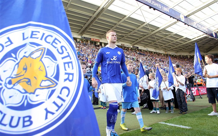 Leicester City Football Club Champions fondo de pantalla HD Vistas:29223