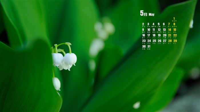 Maio 2016 Calendário Desktop Themes Wallpapers 13 Visualizações:6735