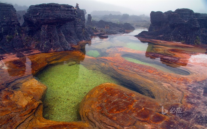 委內瑞拉山Roraima-2016年必應桌面壁紙 查看次數:9795