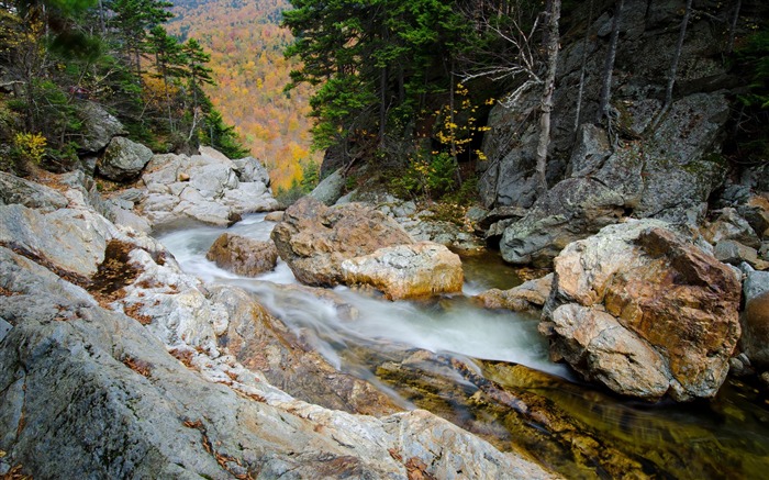 Autumn forest scene waterfall-scenery HD wallpaper Views:7477 Date:2016/6/29 8:44:54