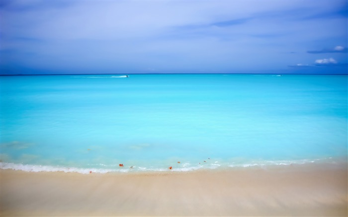 horizon de plage des Caraïbes-Paysage d'été HD Fond d'écran Vues:15362