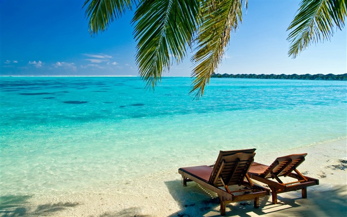 Transats vacances à la plage-Paysage d'été HD Fond d'écran Vues:29580