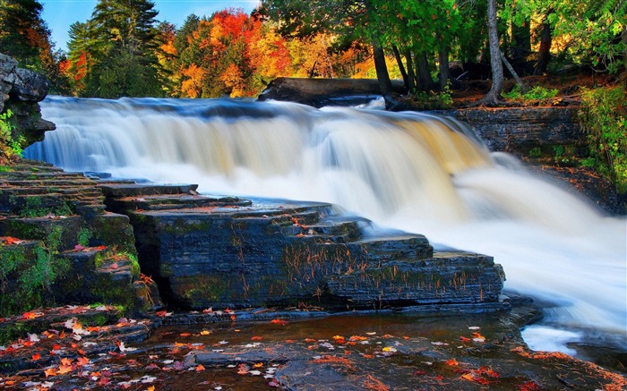 Bosque río cascada otoño-naturaleza HD foto fondo de pantalla Vistas:15421