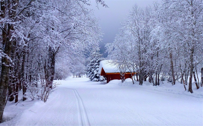 Bosque nieve carretera casa-naturaleza HD foto fondo de pantalla Vistas:17843