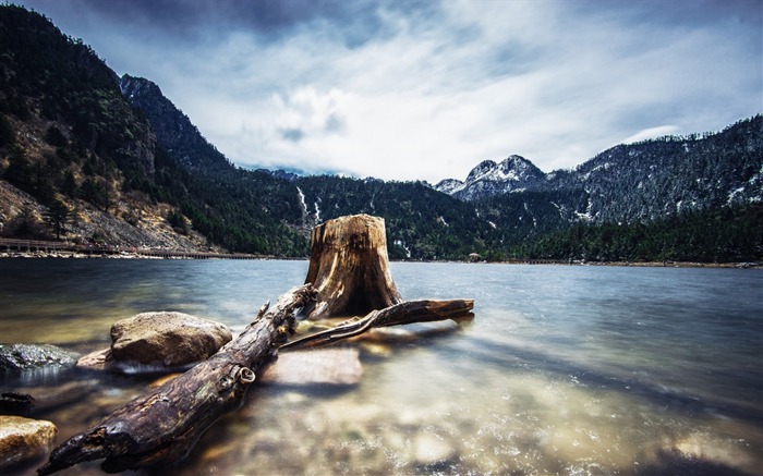 Forest tree rocky mountain lake-scenery HD wallpaper Views:7015 Date:2016/6/29 9:02:46