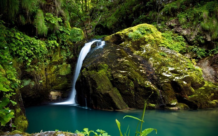 Forest waterfall mossy rocks-scenery HD wallpaper Views:9715 Date:2016/6/29 8:51:09