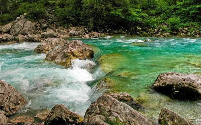 Forest whirling river-scenery HD wallpaper Views:6423 Date:2016/6/29 9:04:04