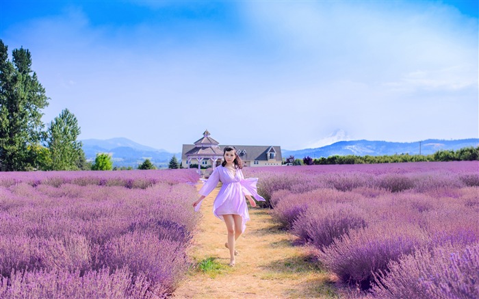 Chica verano al aire libre Lavender Field-2016 de alta calidad fondo de pantalla HD Vistas:10769